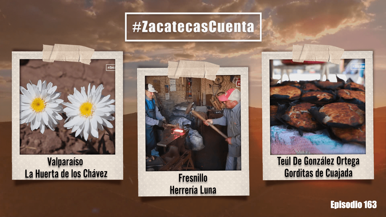Zacatecas Cuenta episodio 163